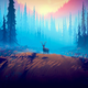 Among Trees